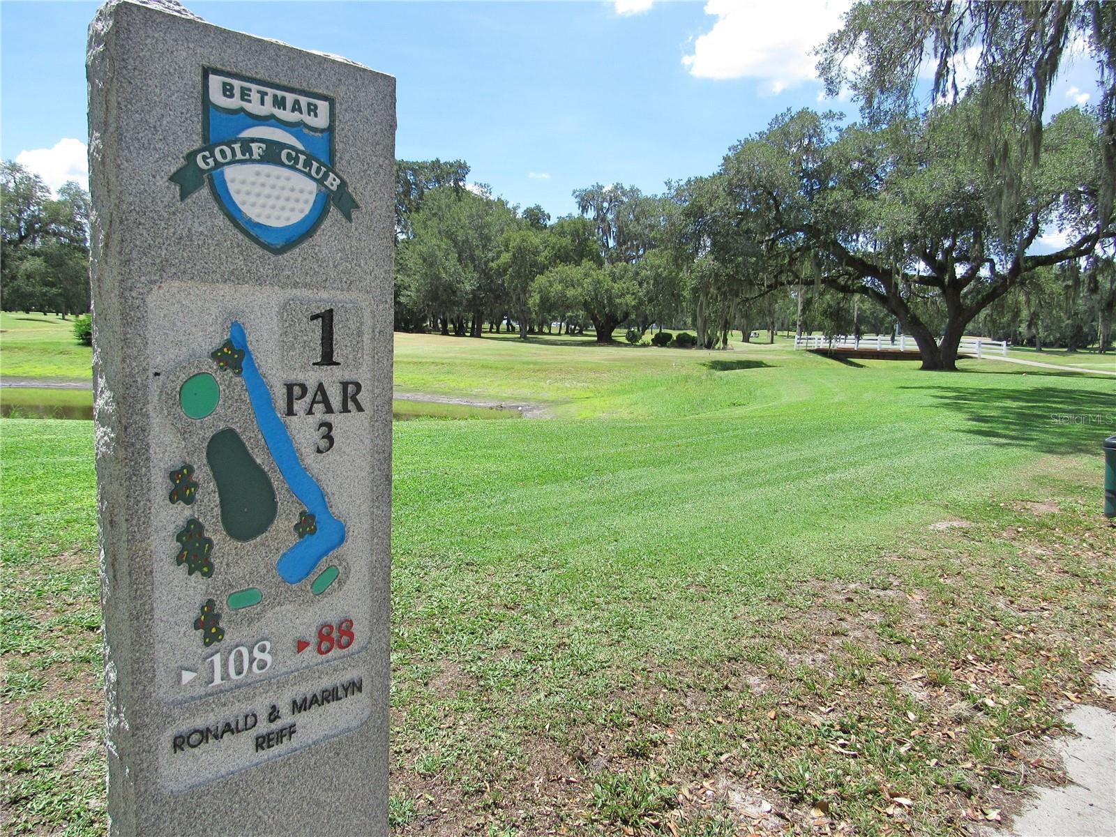 36650 DINA DR, ZEPHYRHILLS, FL — photo 41