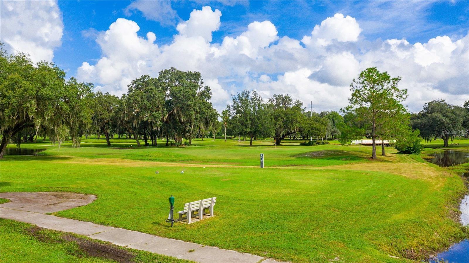 36650 DINA DR, ZEPHYRHILLS, FL — photo 44