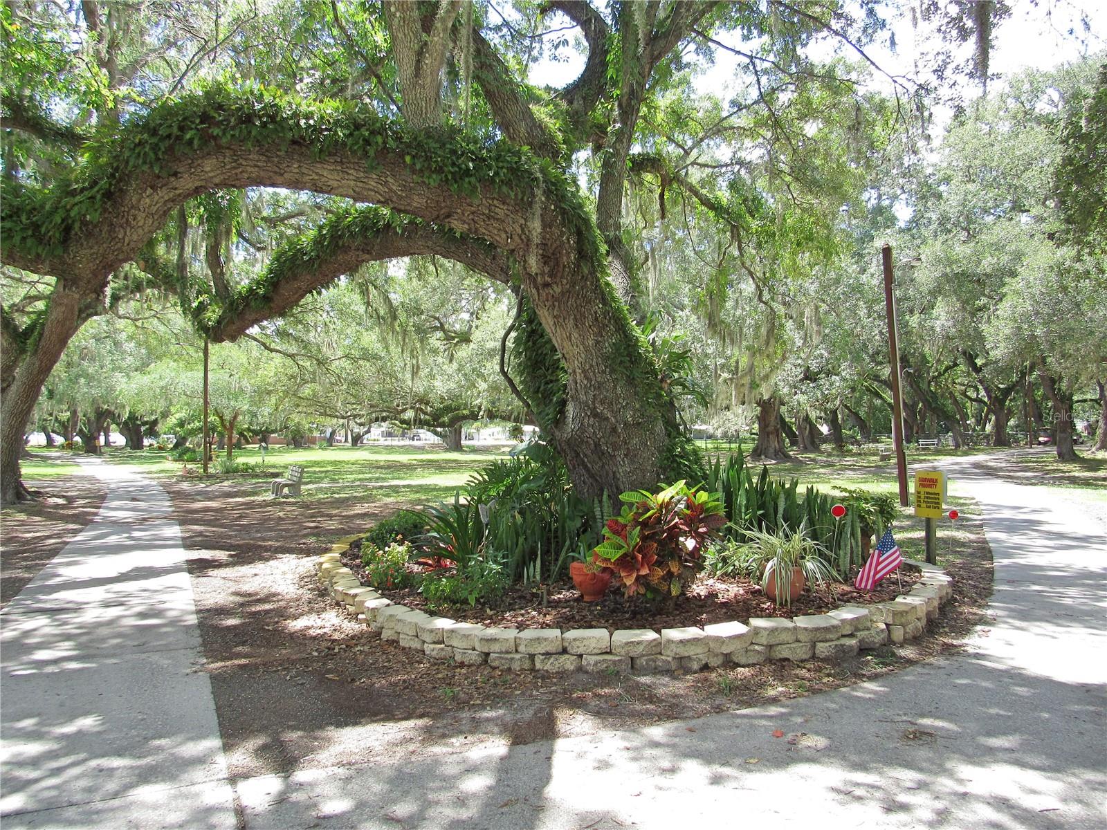 36650 DINA DR, ZEPHYRHILLS, FL — photo 57