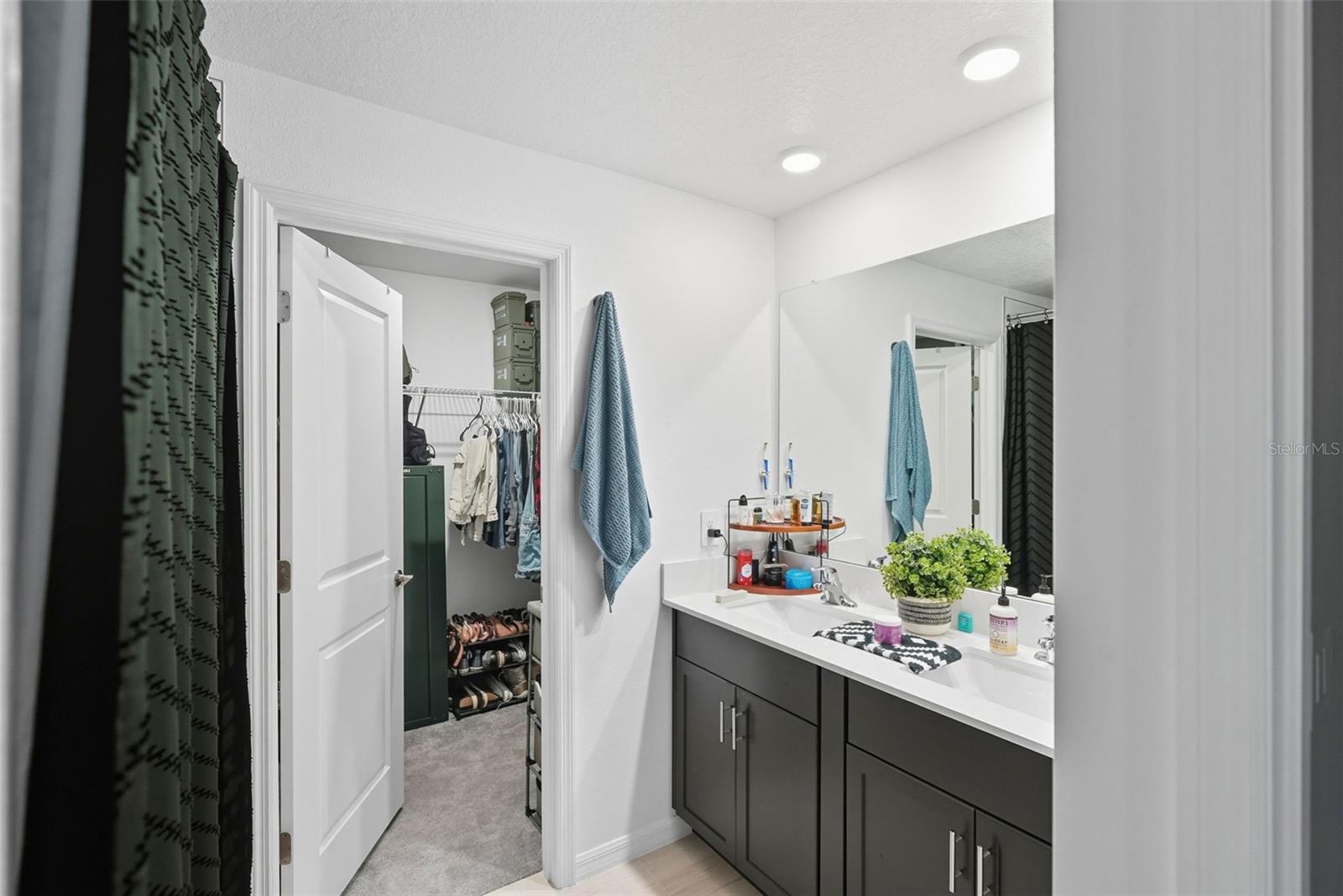 22289 NEBULA WAY, LAND O LAKES, FL — photo 19