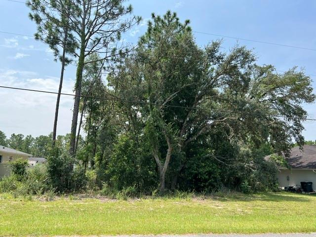 Lot 2 SW 132 ST, OCALA, FL — photo 4