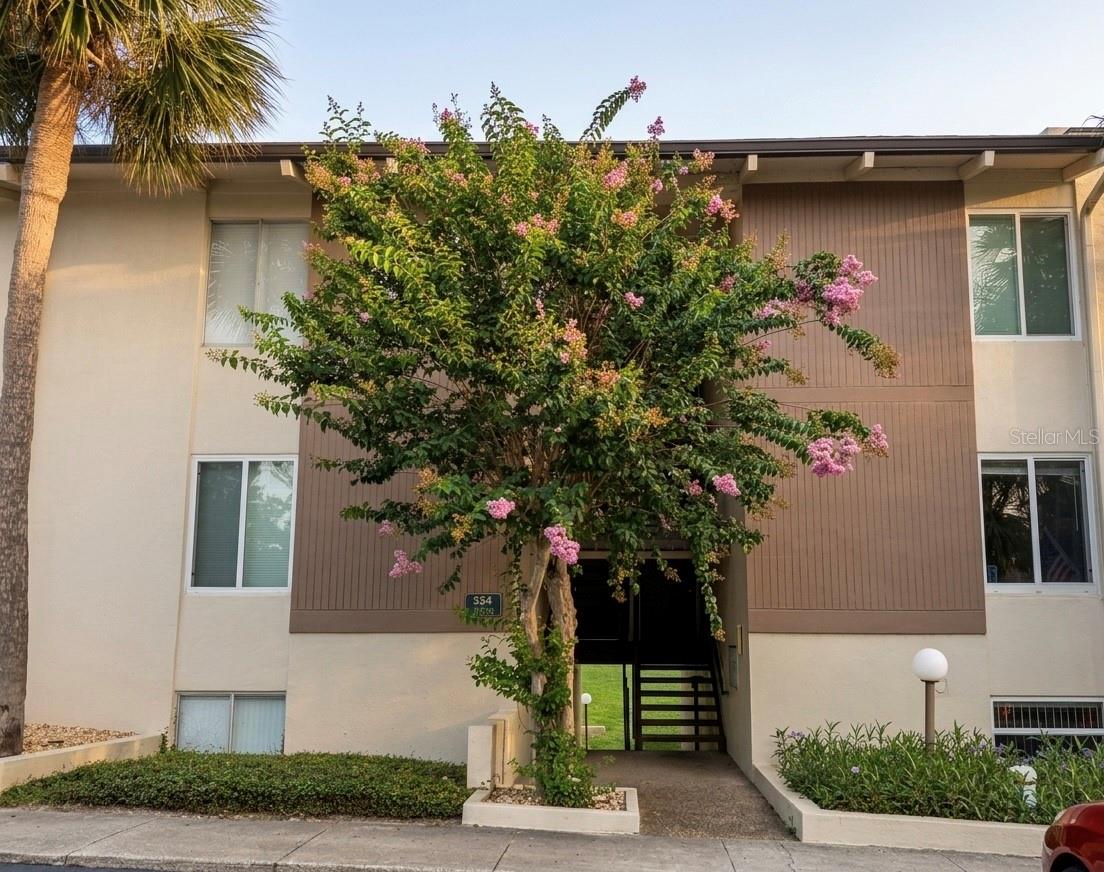 554 ORANGE DR #15, ALTAMONTE SPRINGS, FL — photo 2