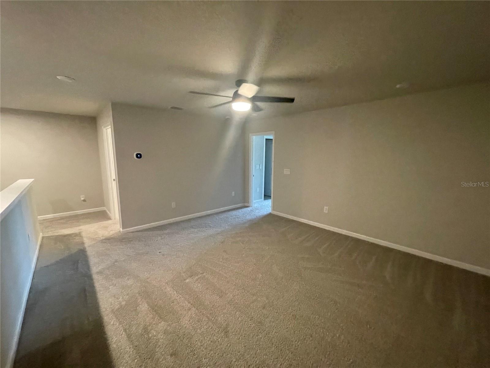 26068 WOVEN WICKER BND, LUTZ, FL — photo 13