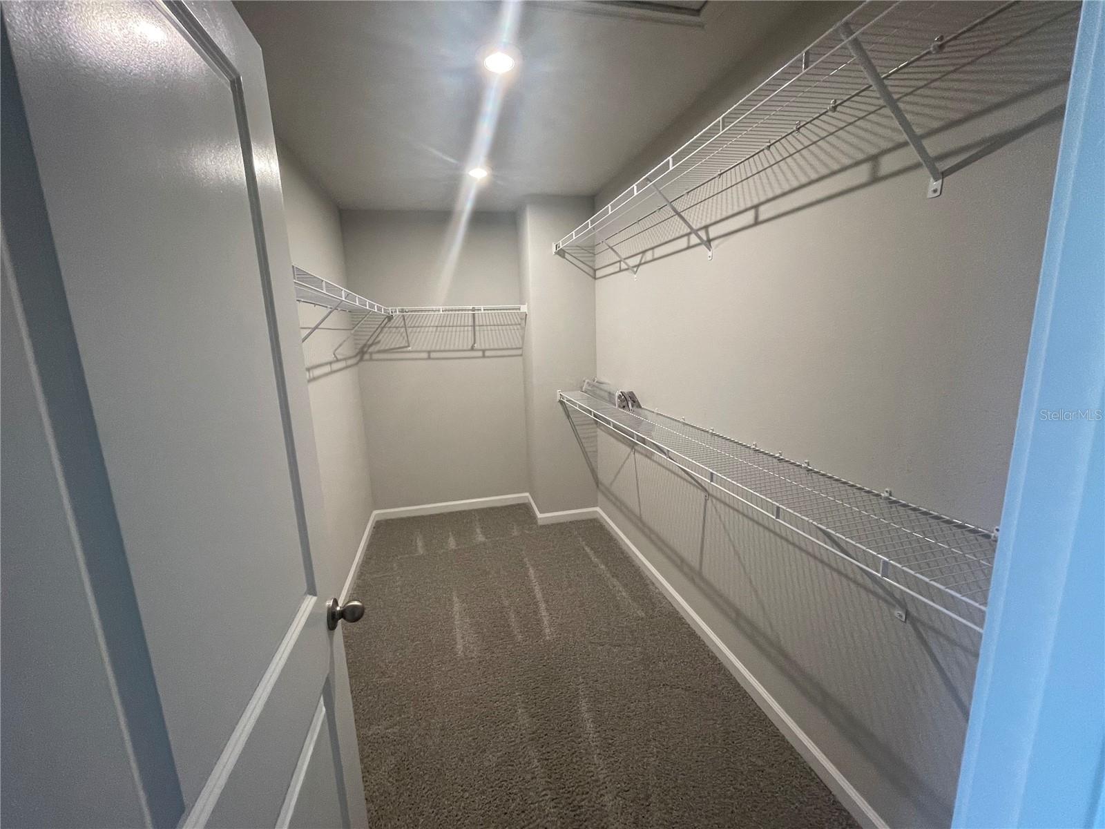 26068 WOVEN WICKER BND, LUTZ, FL — photo 15