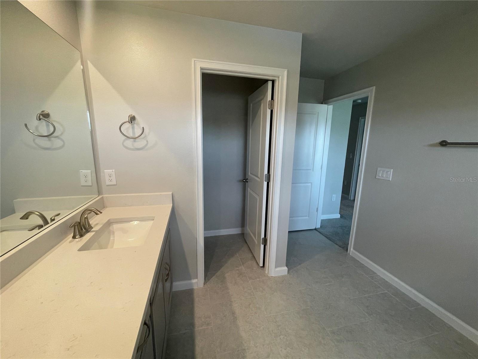 26068 WOVEN WICKER BND, LUTZ, FL — photo 17