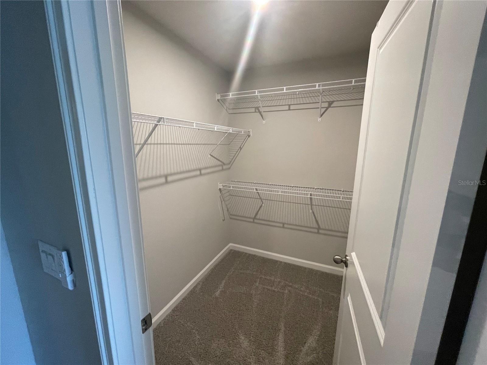 26068 WOVEN WICKER BND, LUTZ, FL — photo 18