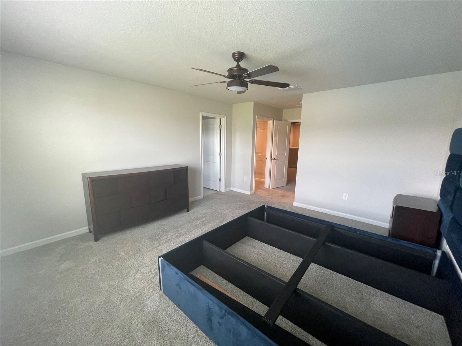 26068 WOVEN WICKER BND, LUTZ, FL — photo 19