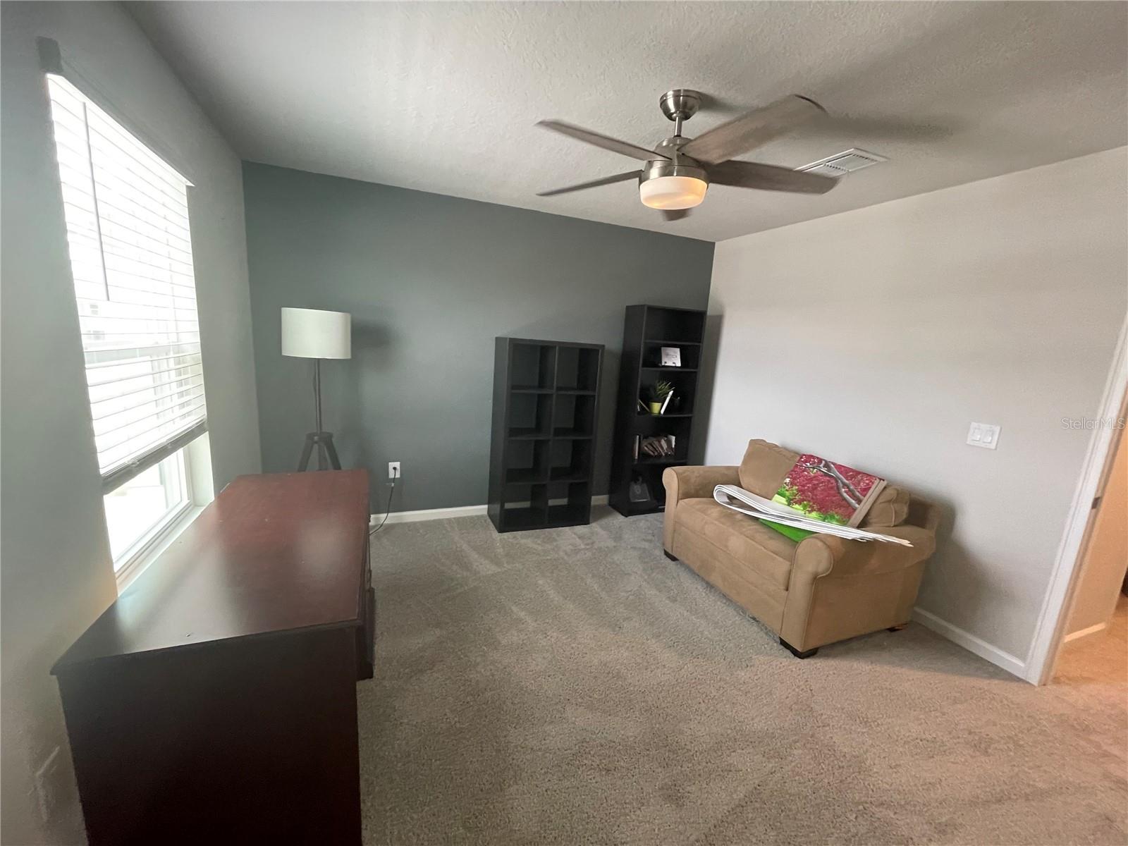 26068 WOVEN WICKER BND, LUTZ, FL — photo 21