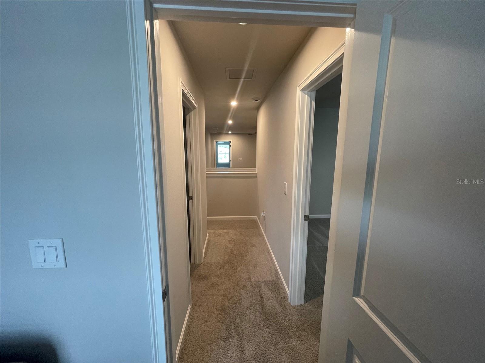 26068 WOVEN WICKER BND, LUTZ, FL — photo 22