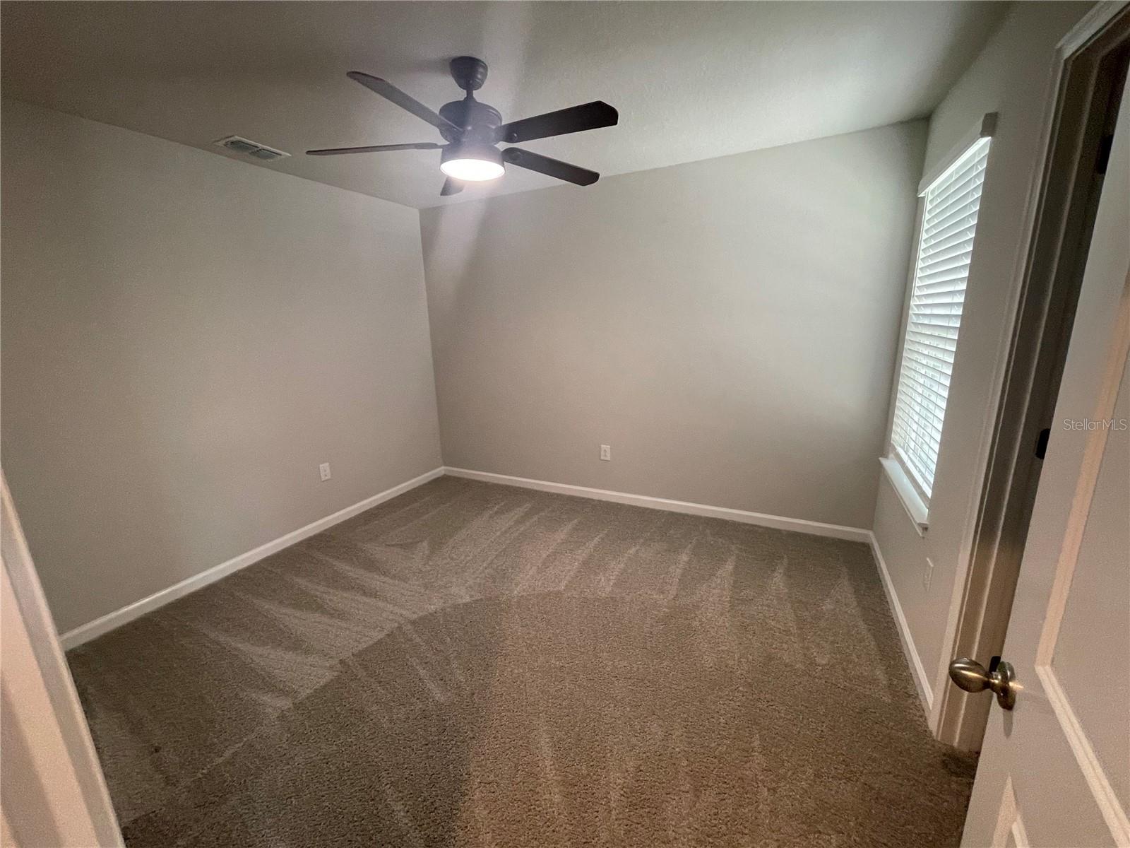 26068 WOVEN WICKER BND, LUTZ, FL — photo 23