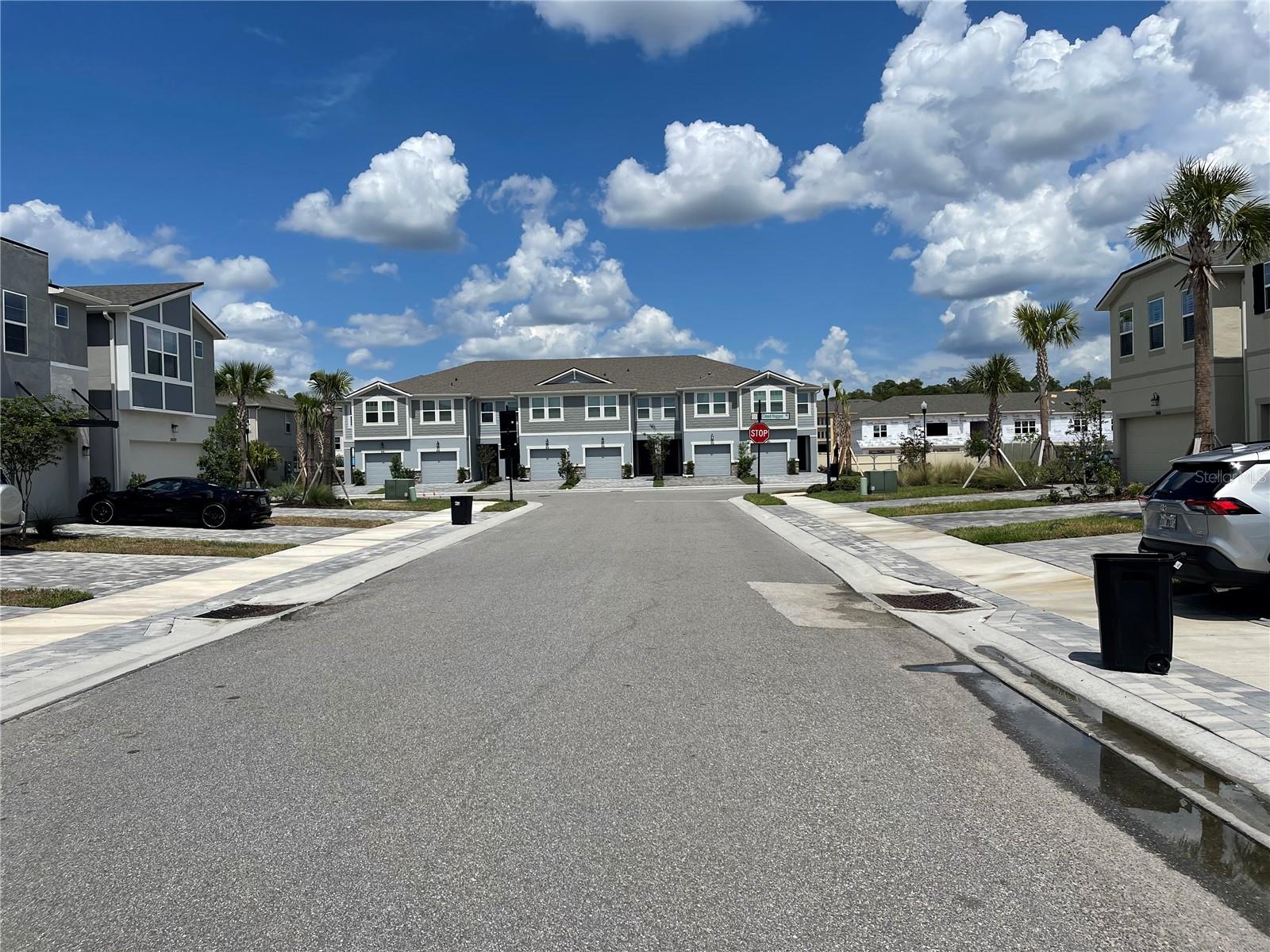 26068 WOVEN WICKER BND, LUTZ, FL — photo 40