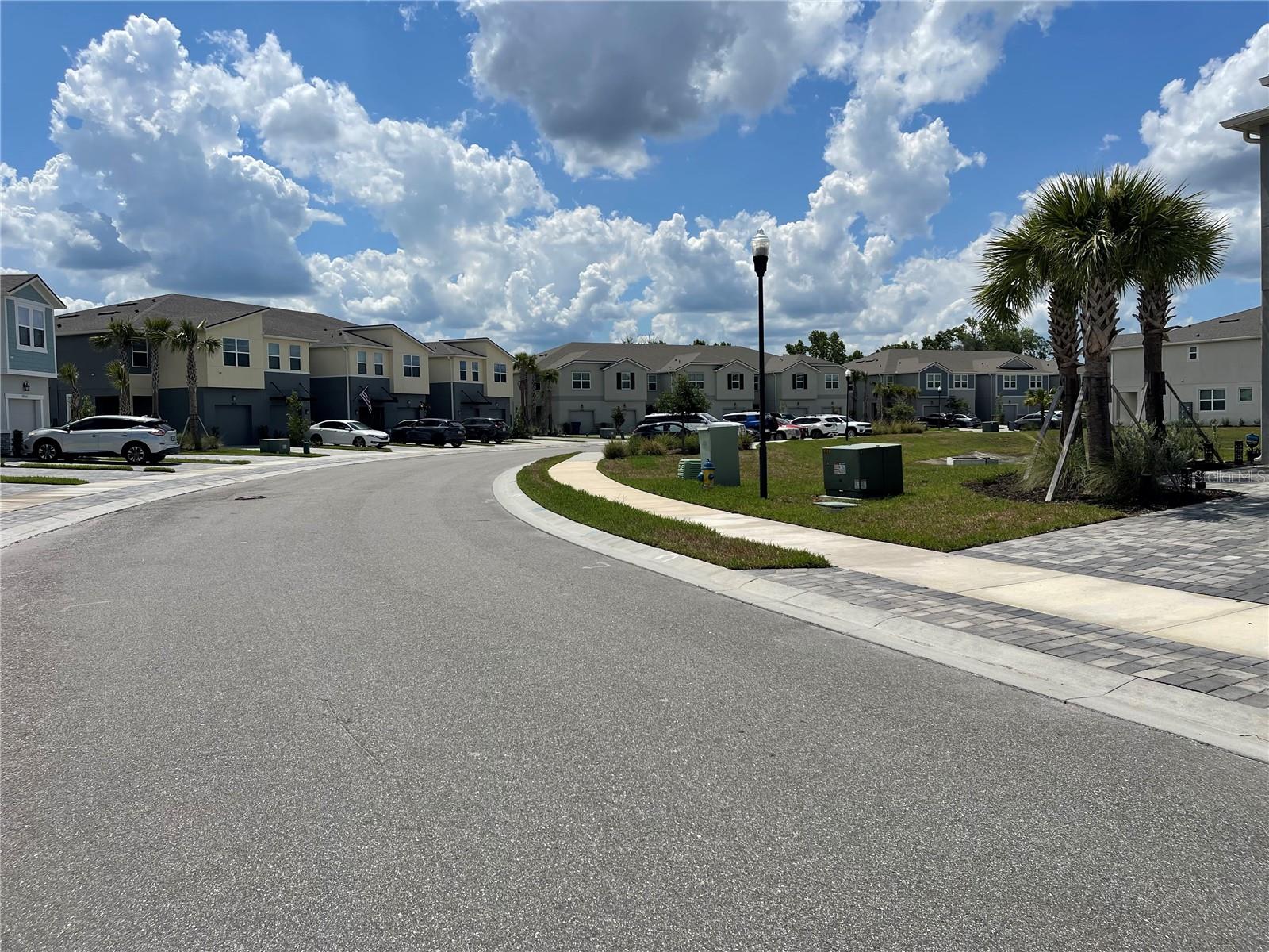 26068 WOVEN WICKER BND, LUTZ, FL — photo 41