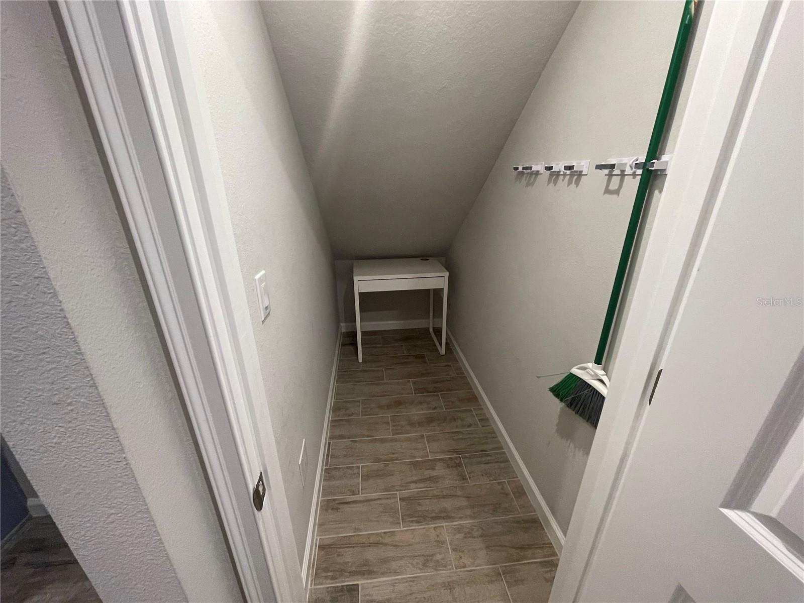 26068 WOVEN WICKER BND, LUTZ, FL — photo 48