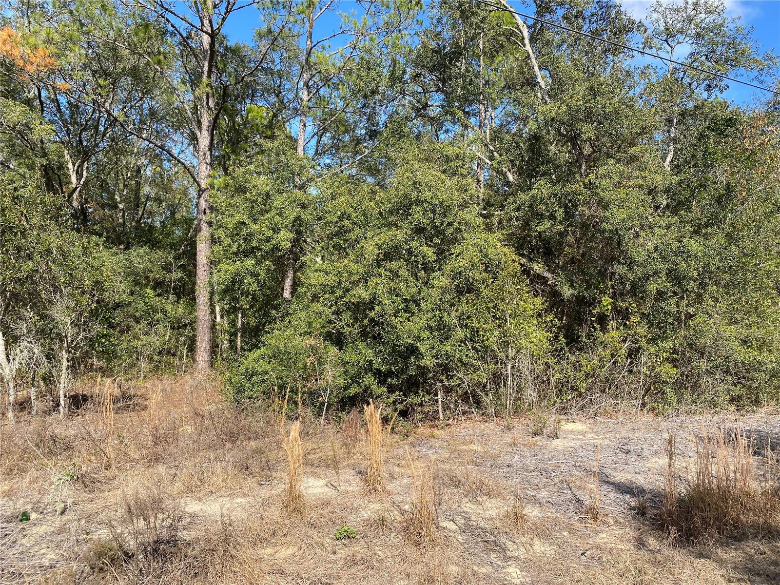 21523 SW BEACH BLVD, DUNNELLON, FL