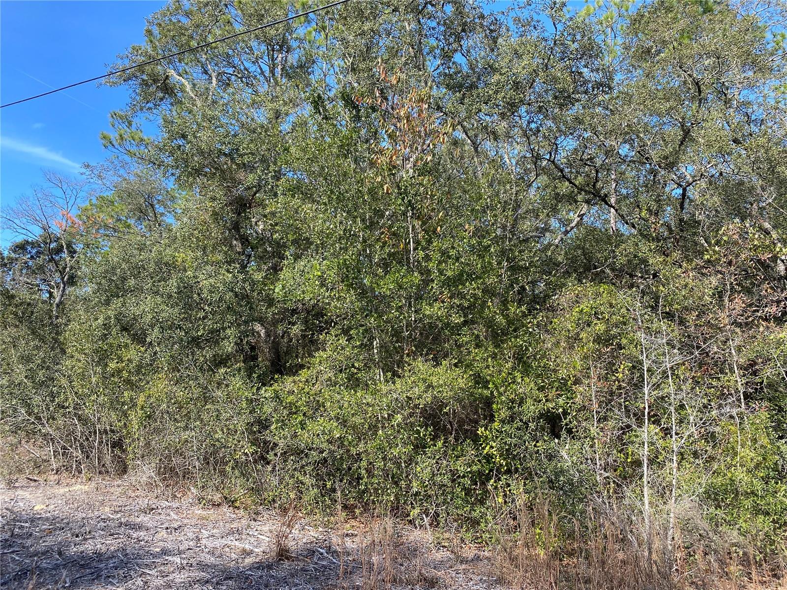 21523 SW BEACH BLVD, DUNNELLON, FL — photo 2