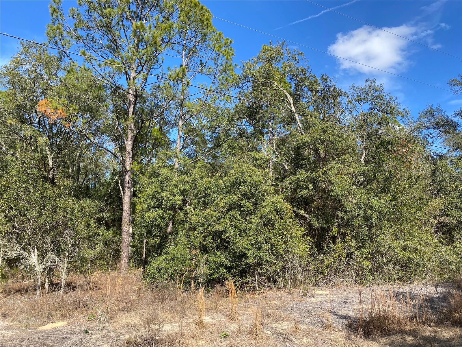 21523 SW BEACH BLVD, DUNNELLON, FL — photo 6