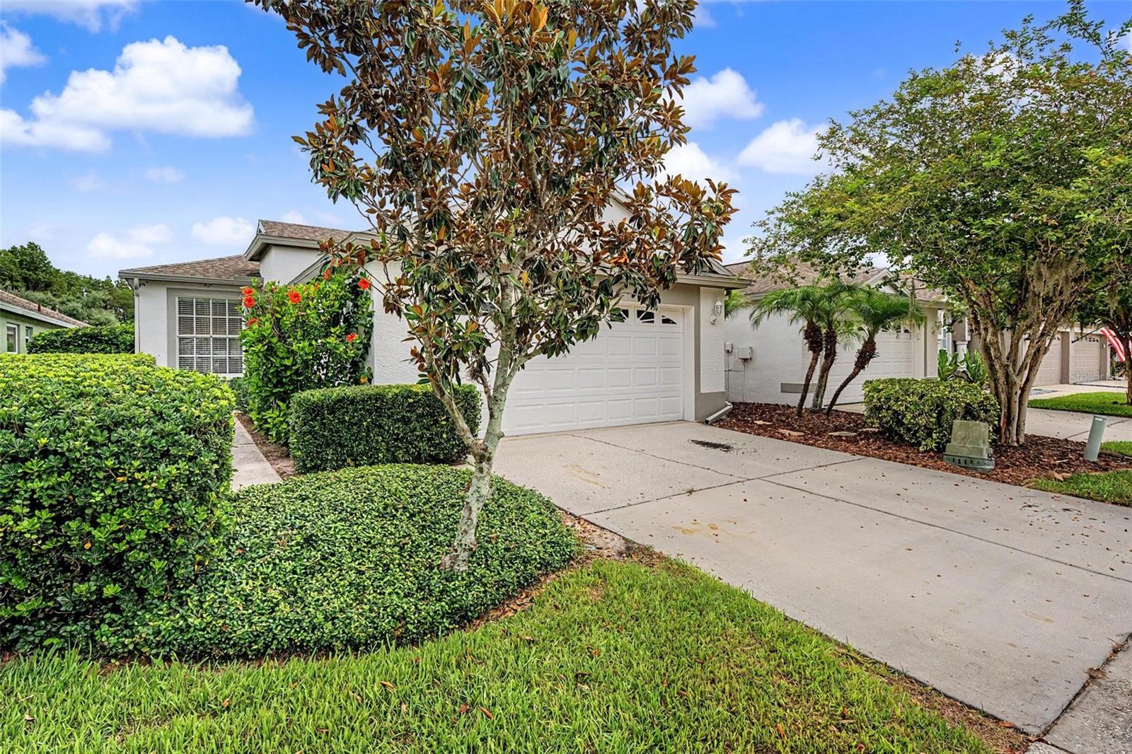 19309 WEYMOUTH DR, LAND O LAKES, FL — photo 5