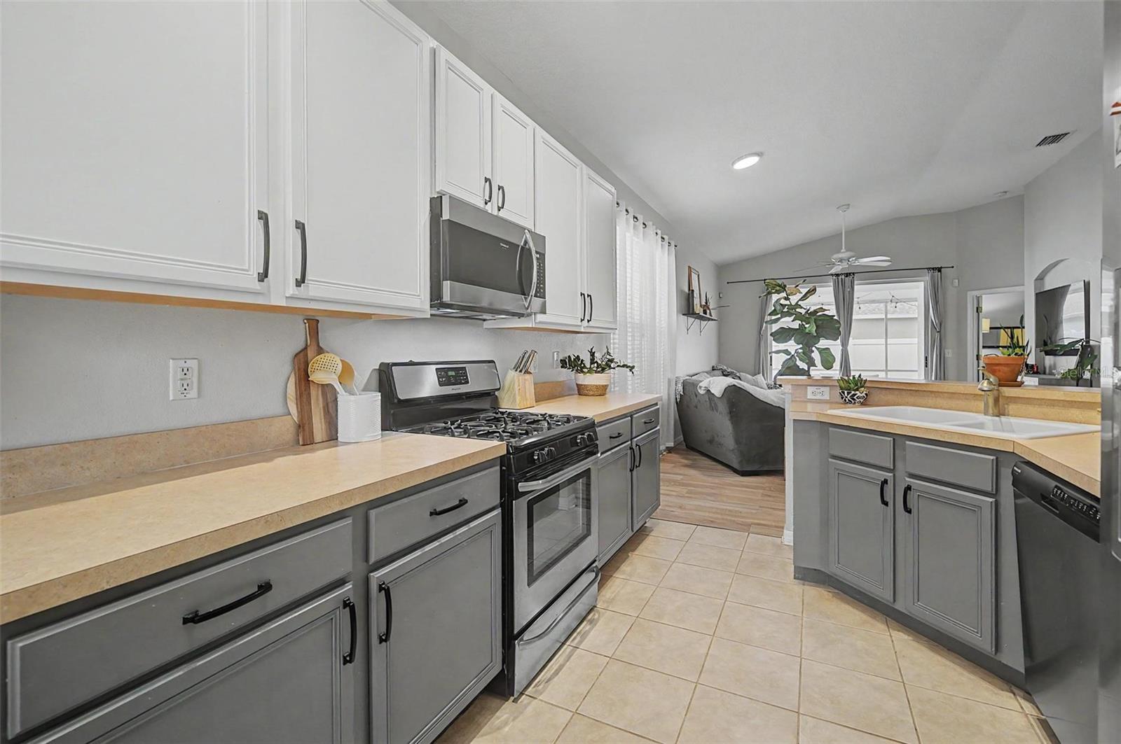 19309 WEYMOUTH DR, LAND O LAKES, FL — photo 13
