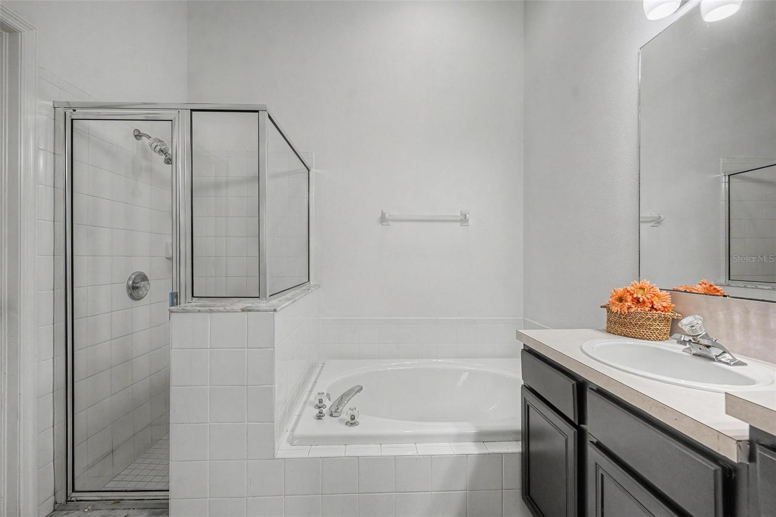 19309 WEYMOUTH DR, LAND O LAKES, FL — photo 23