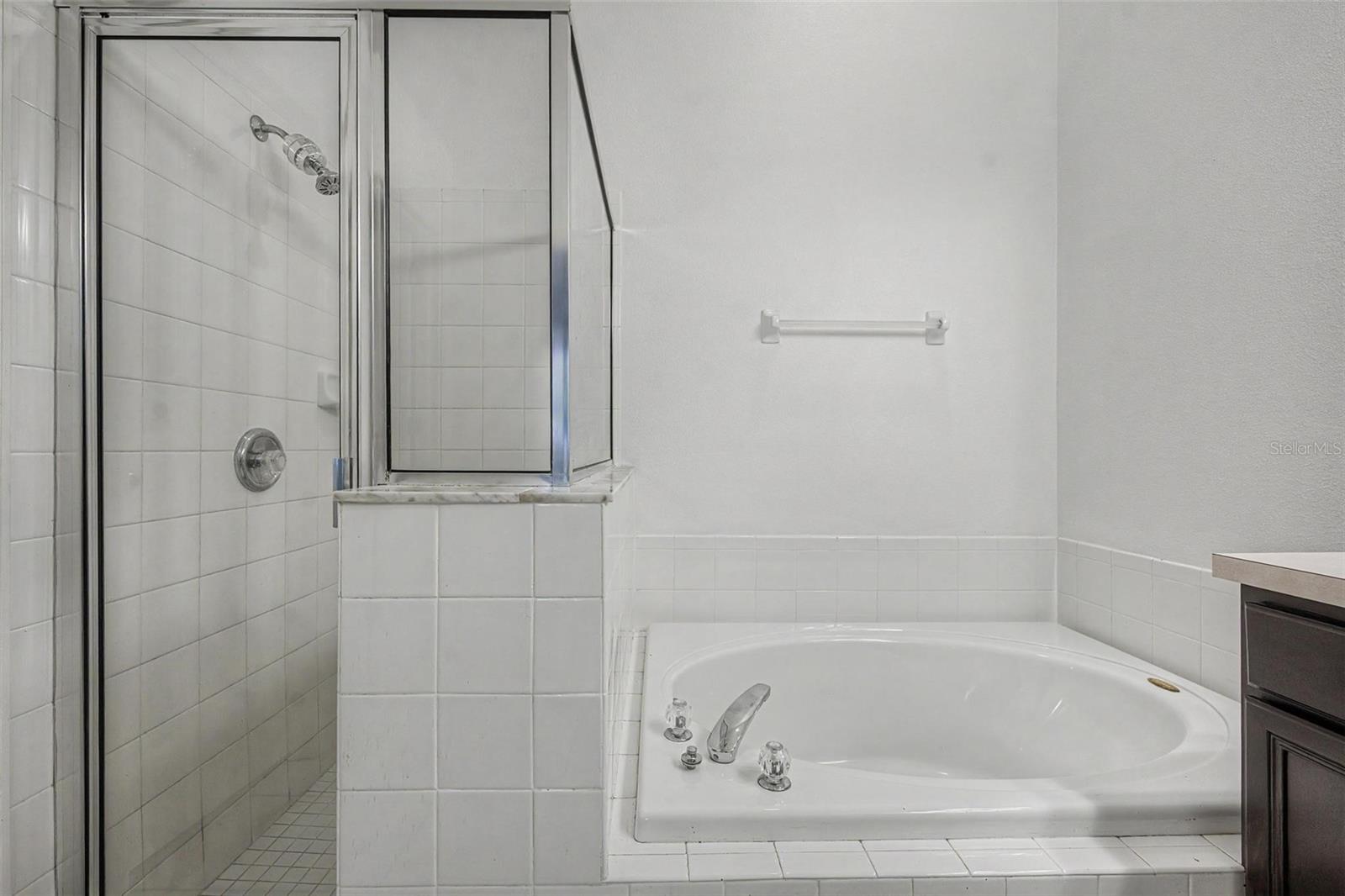 19309 WEYMOUTH DR, LAND O LAKES, FL — photo 24