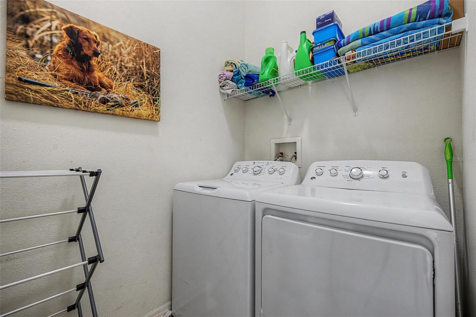 19309 WEYMOUTH DR, LAND O LAKES, FL — photo 29
