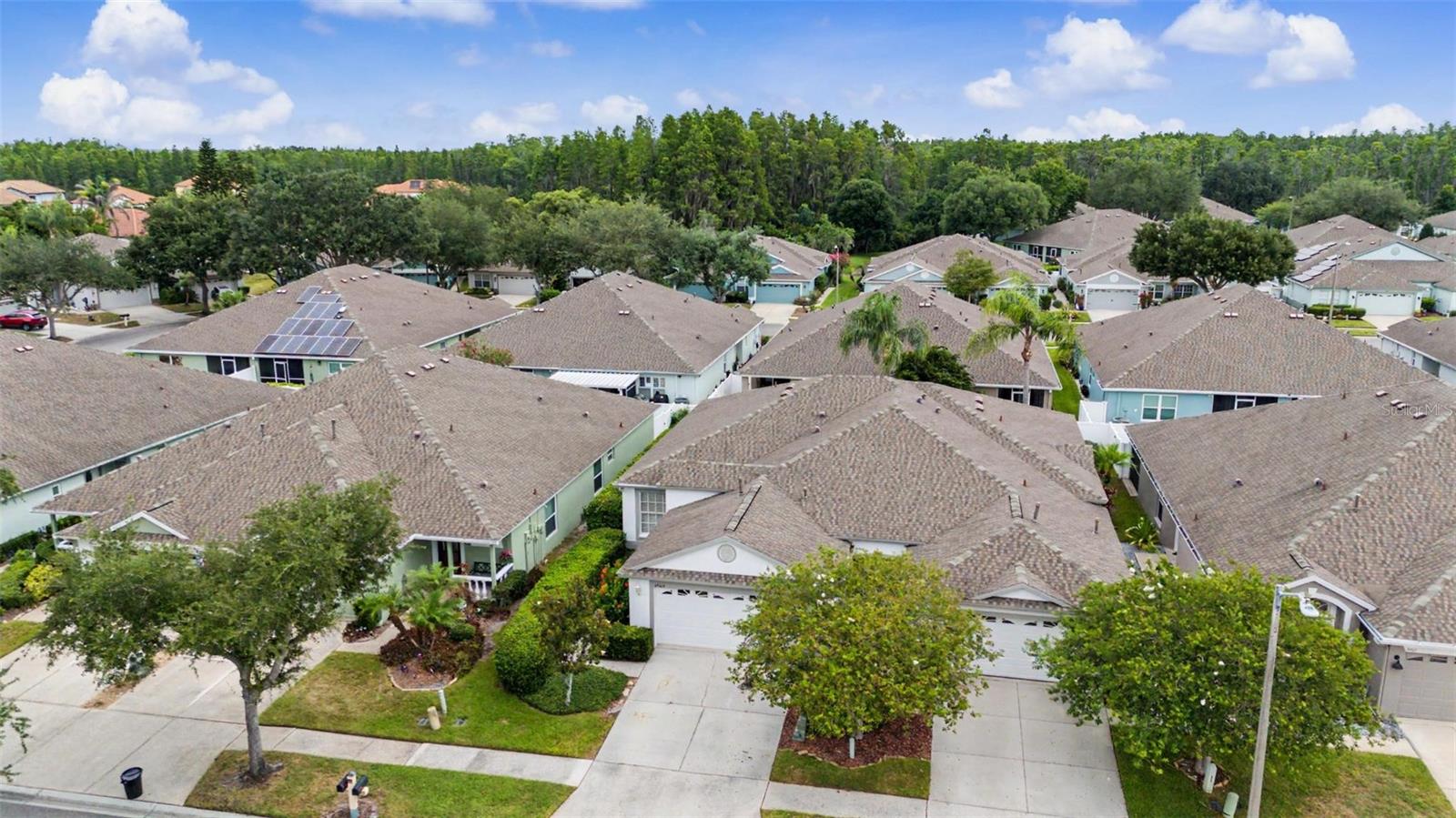 19309 WEYMOUTH DR, LAND O LAKES, FL — photo 35