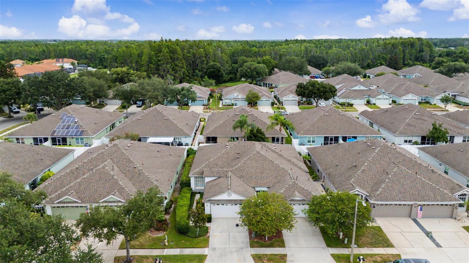 19309 WEYMOUTH DR, LAND O LAKES, FL — photo 36