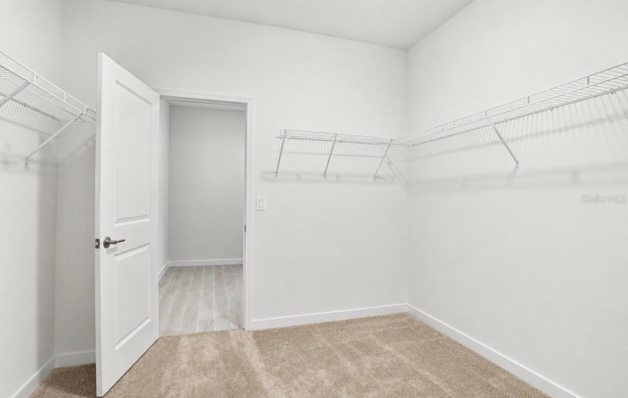 17135 SHELL BAY DR, LAND O LAKES, FL — photo 33