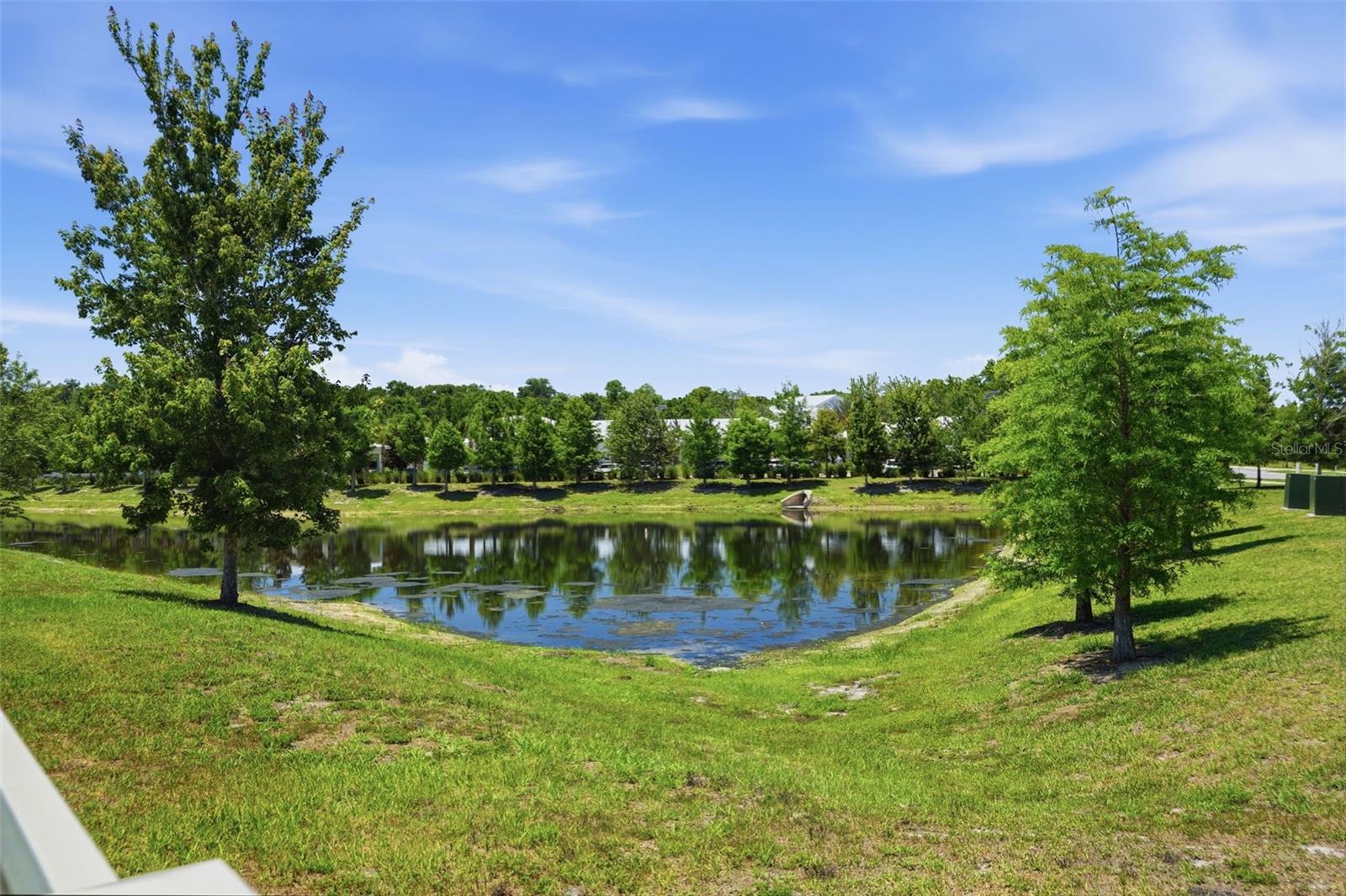 17135 SHELL BAY DR, LAND O LAKES, FL — photo 47