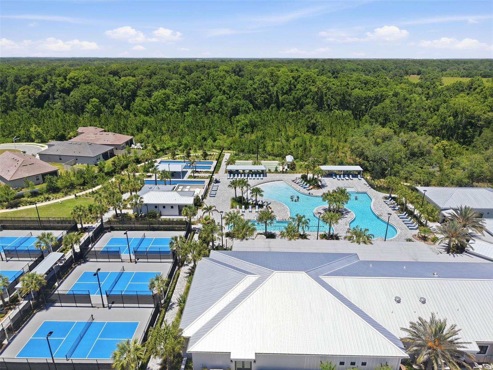 17135 SHELL BAY DR, LAND O LAKES, FL — photo 57