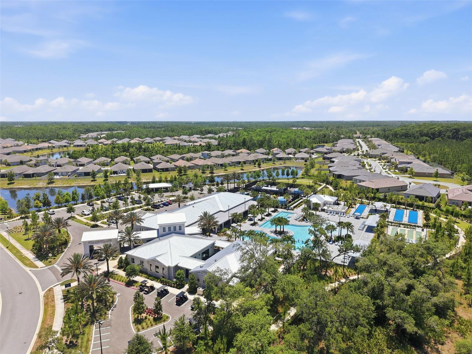 17135 SHELL BAY DR, LAND O LAKES, FL — photo 60