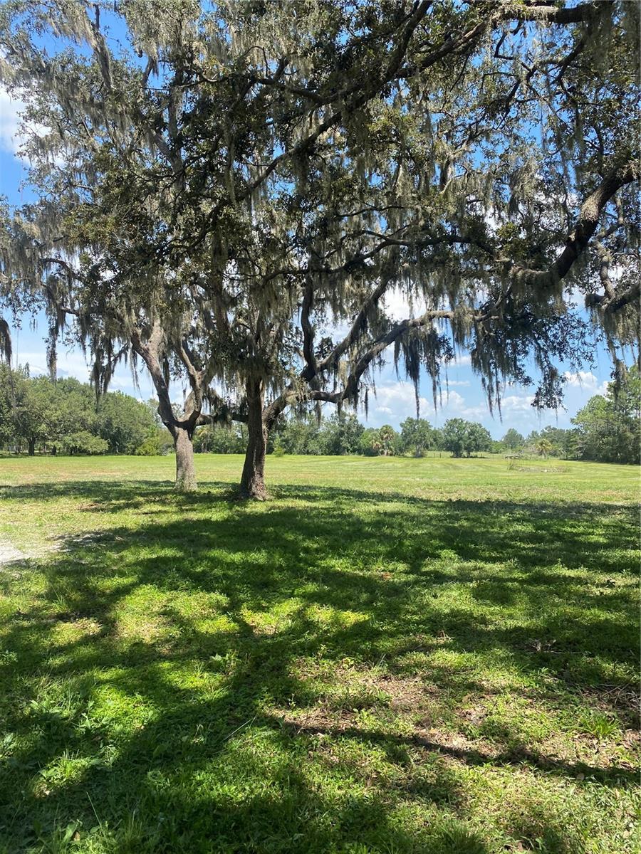 7505 274TH ST E, MYAKKA CITY, FL — photo 3