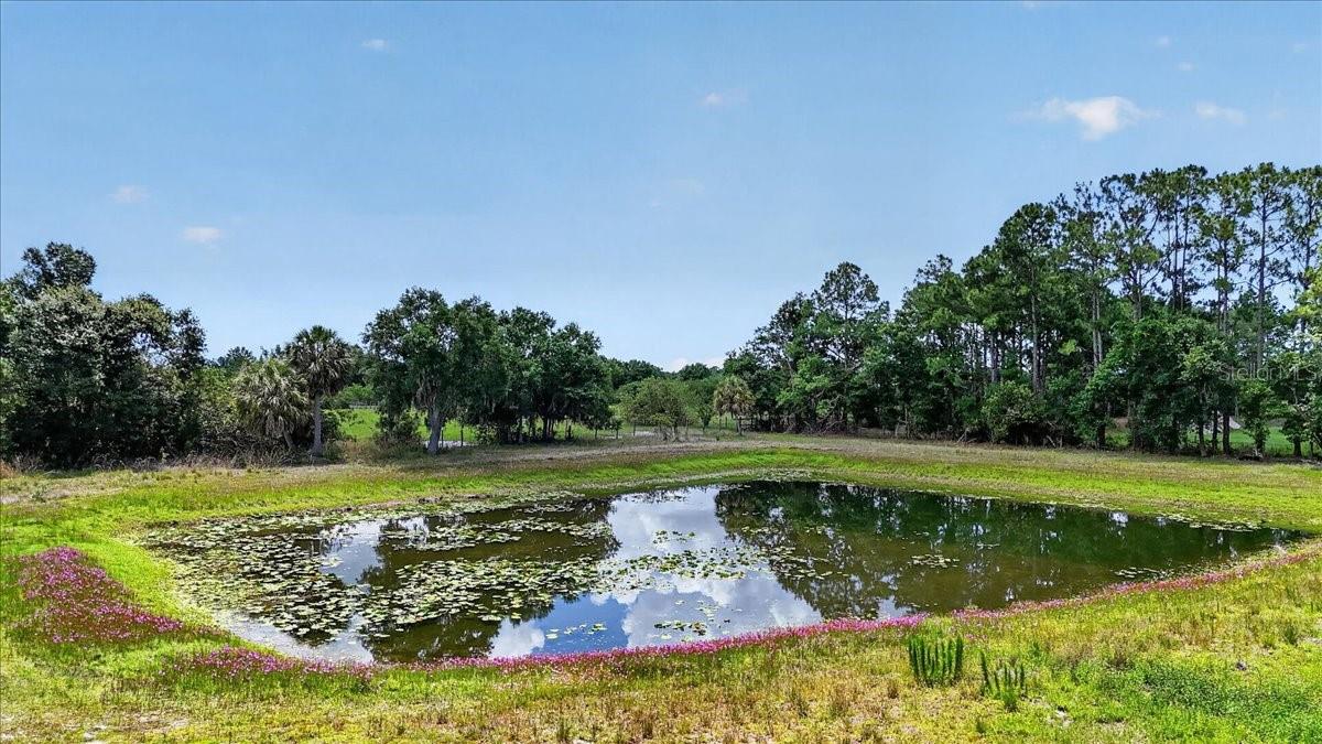 7505 274TH ST E, MYAKKA CITY, FL — photo 13