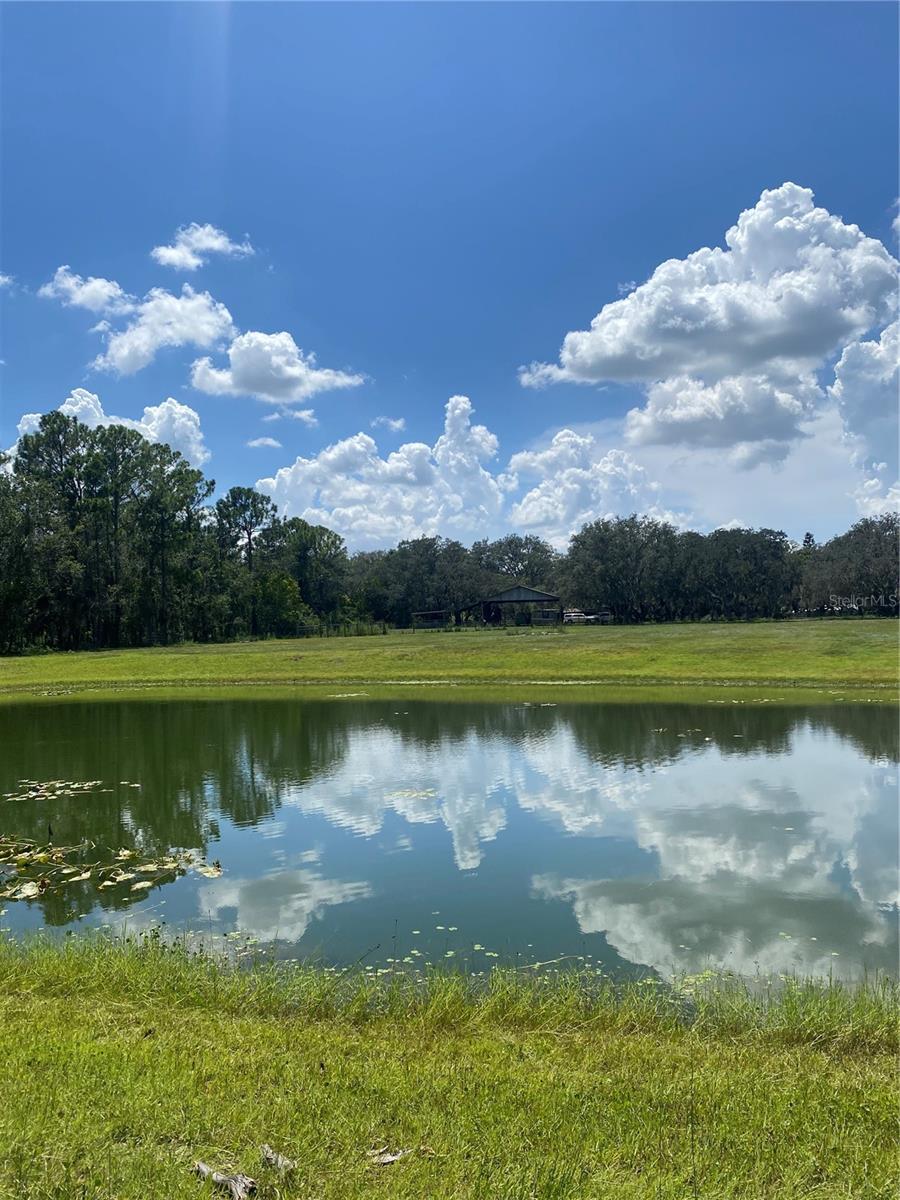 7505 274TH ST E, MYAKKA CITY, FL — photo 14