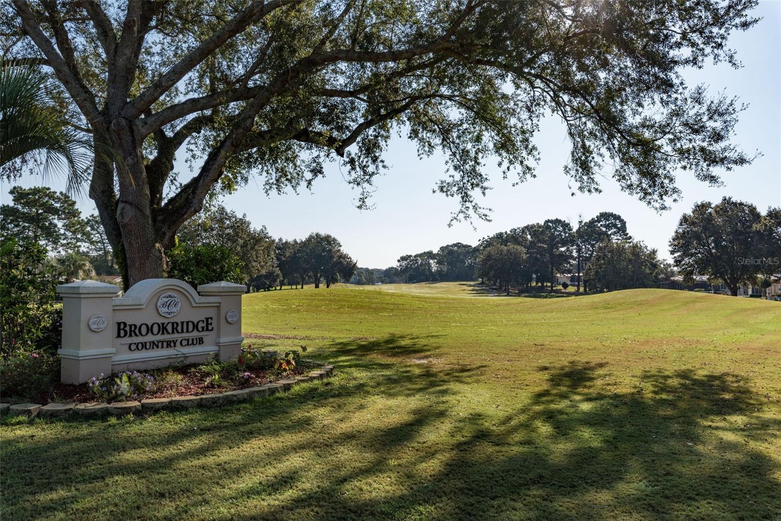 15299 BROOKRIDGE BLVD, BROOKSVILLE, FL — photo 34