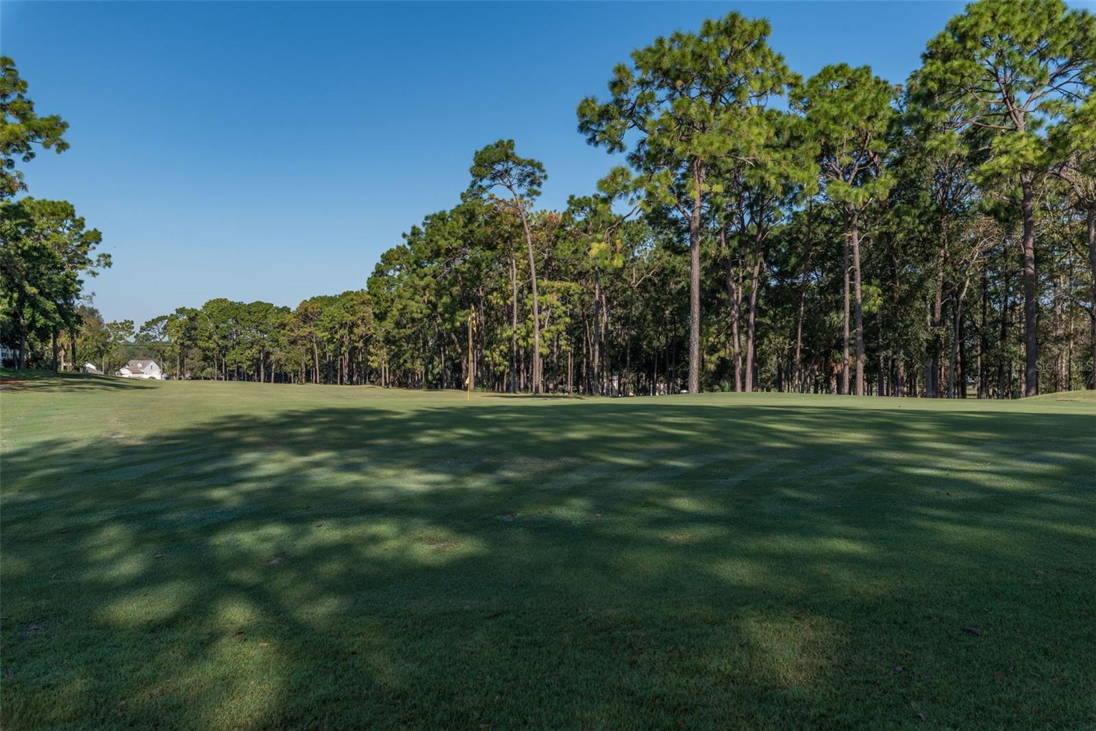 15299 BROOKRIDGE BLVD, BROOKSVILLE, FL — photo 38