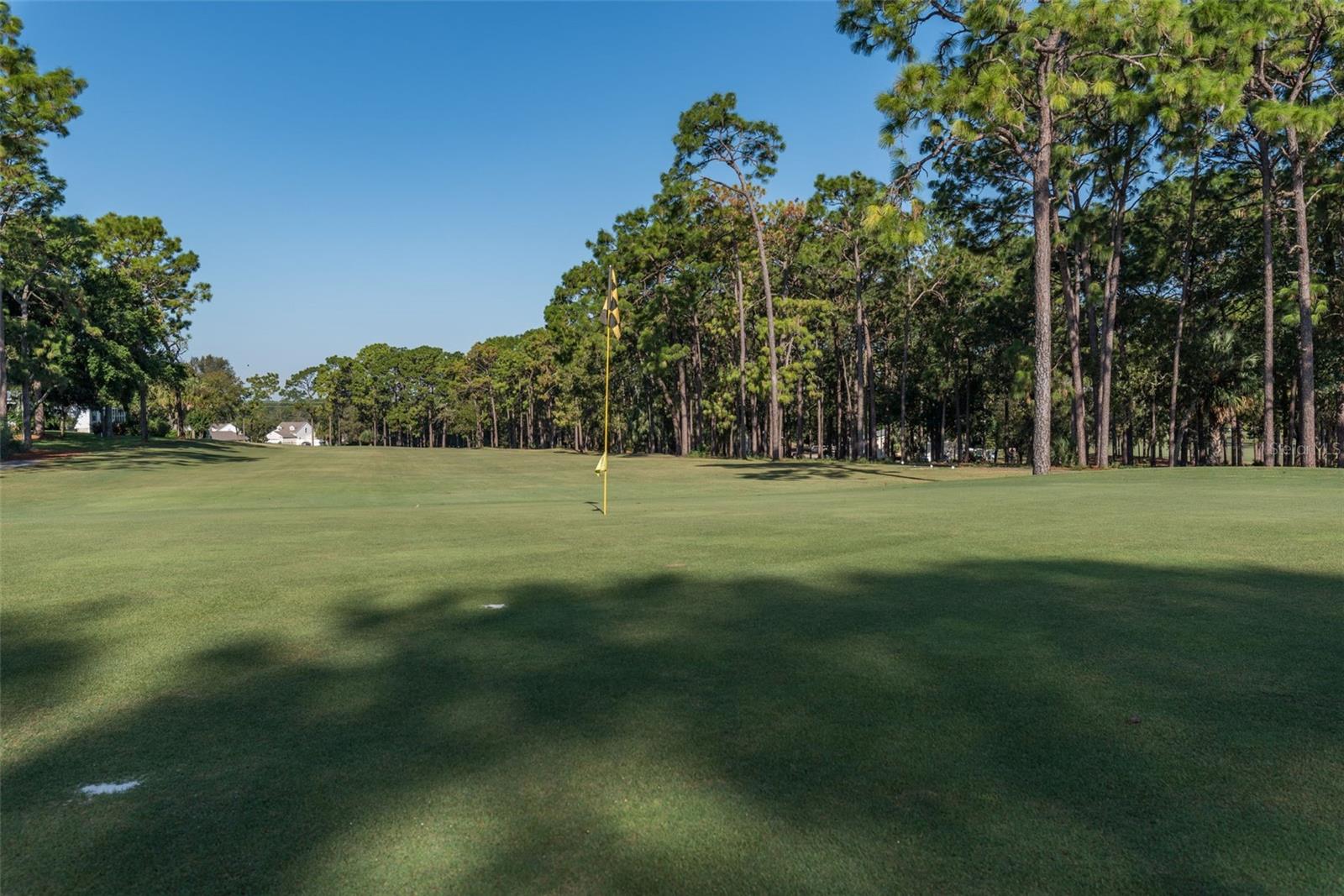 15299 BROOKRIDGE BLVD, BROOKSVILLE, FL — photo 39