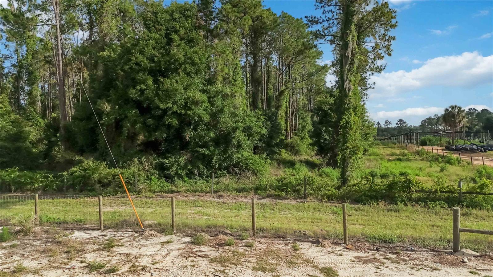23175 N BUCKHILL RD, HOWEY IN THE HILLS, FL — photo 8