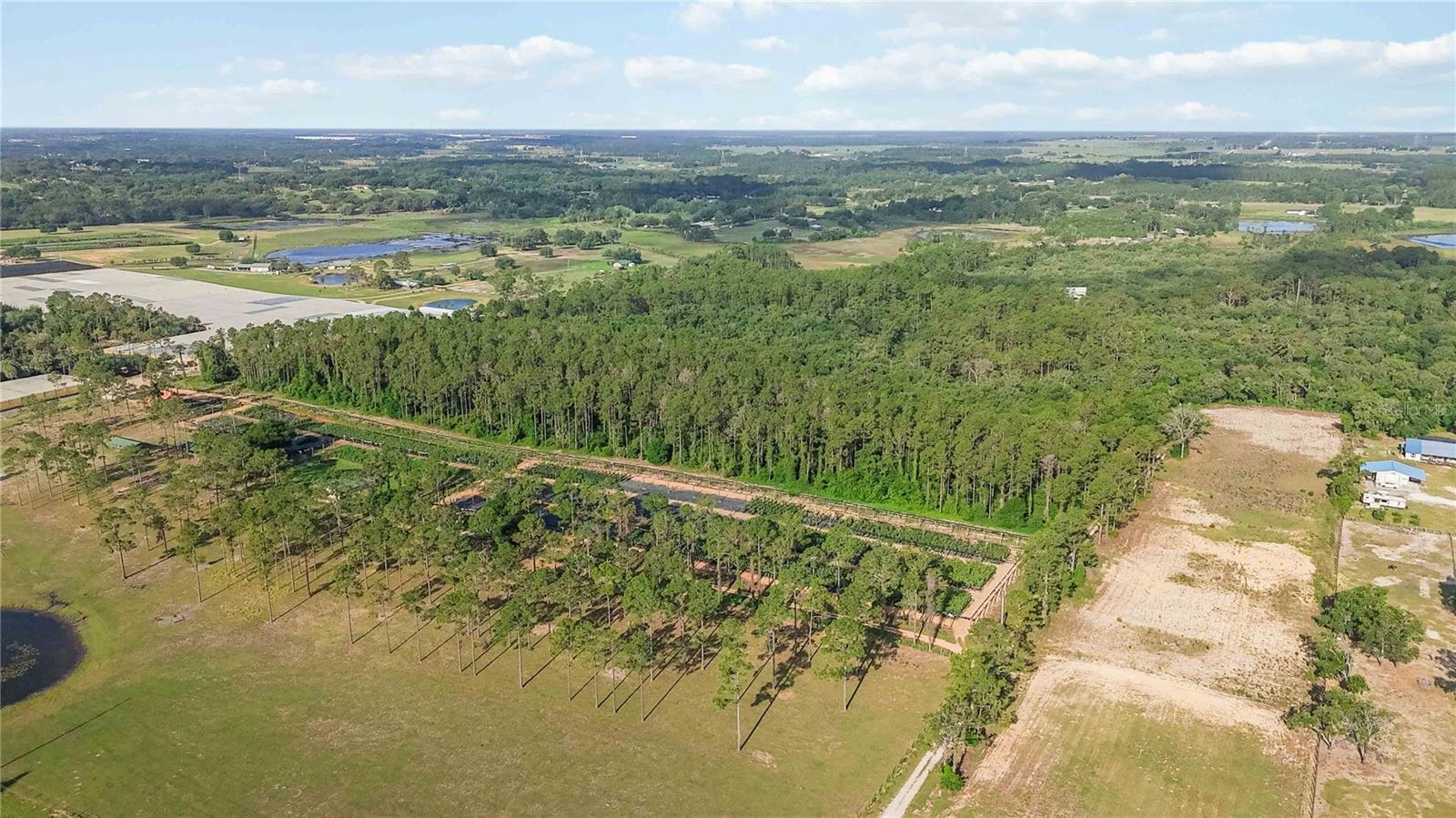 23175 N BUCKHILL RD, HOWEY IN THE HILLS, FL — photo 19