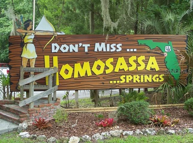 49 VINCA ST, HOMOSASSA, FL — photo 25