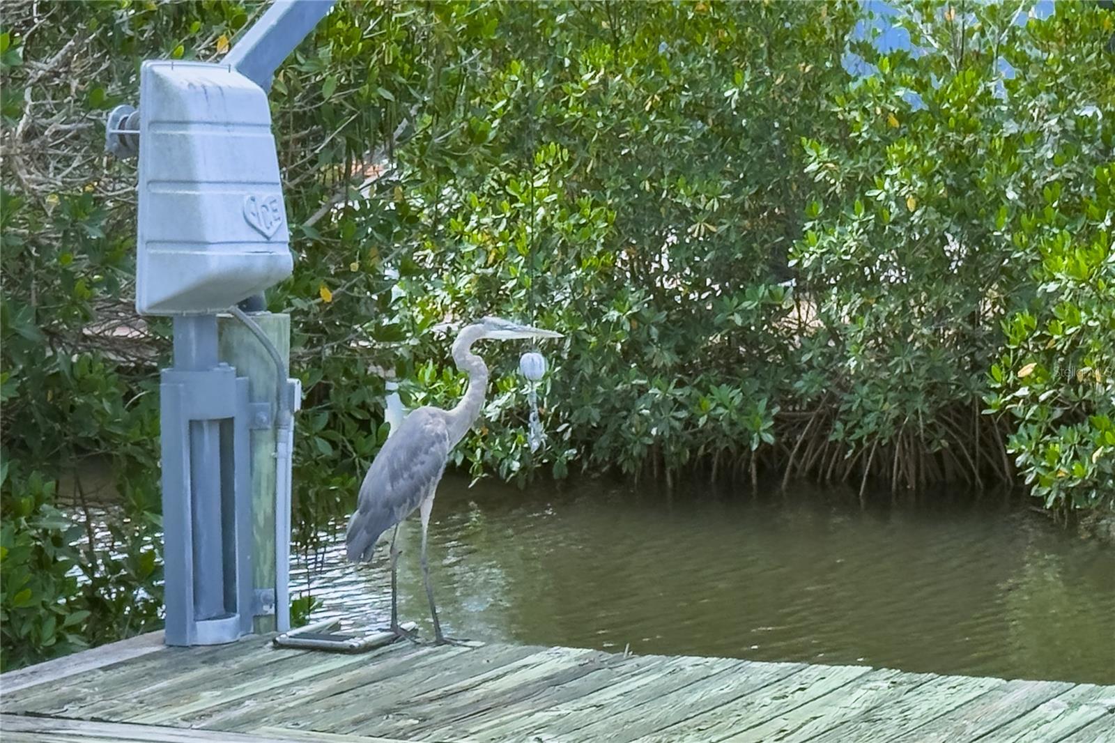 4517 8TH STREET CT E, ELLENTON, FL — photo 7