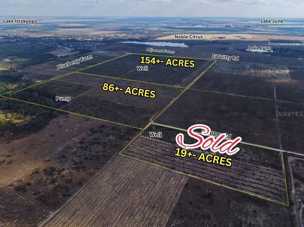 8923 + 6611 E TWITTY RD, SEBRING, FL — photo 10