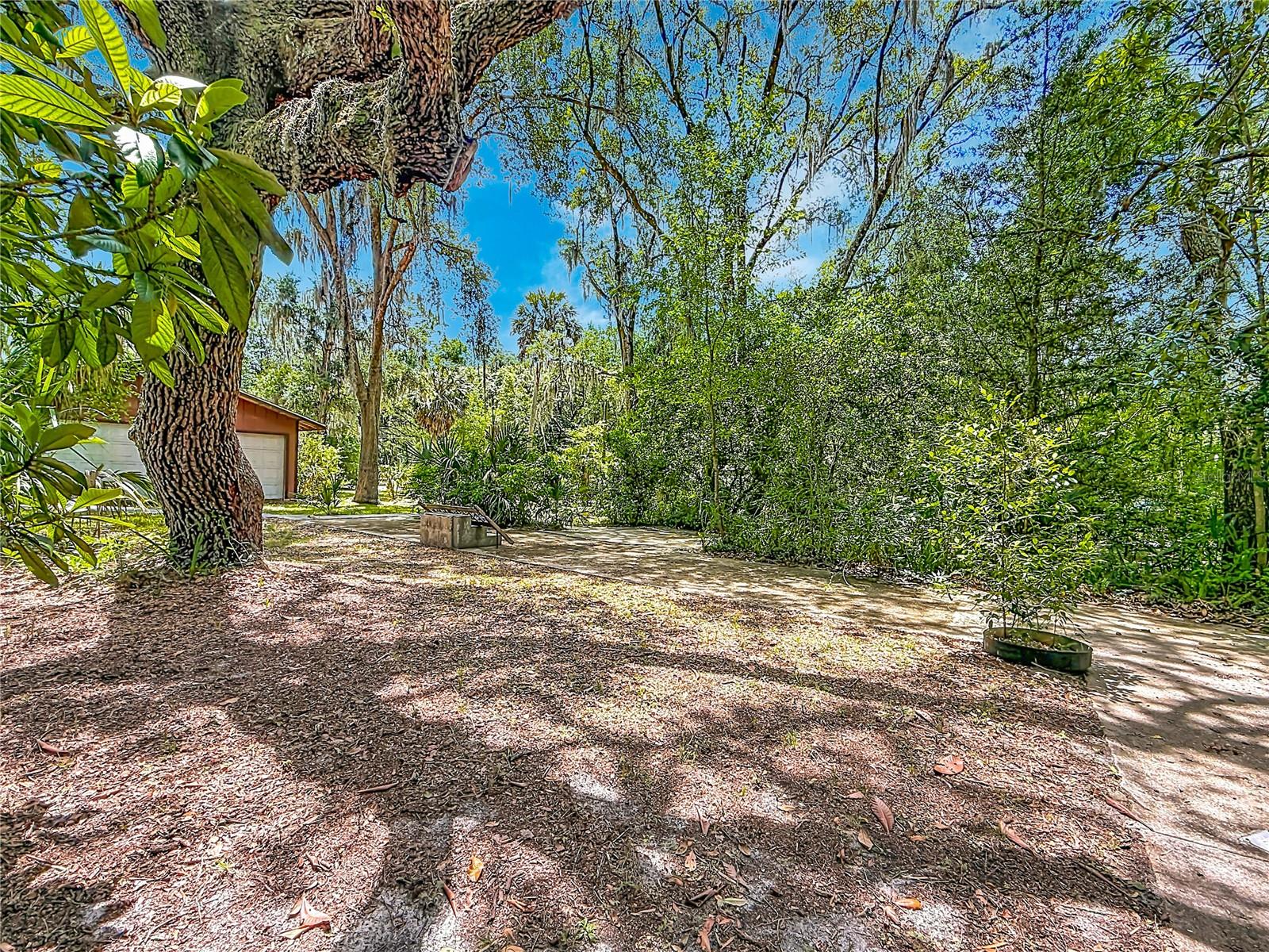 22736 SW 117TH ST, DUNNELLON, FL — photo 18