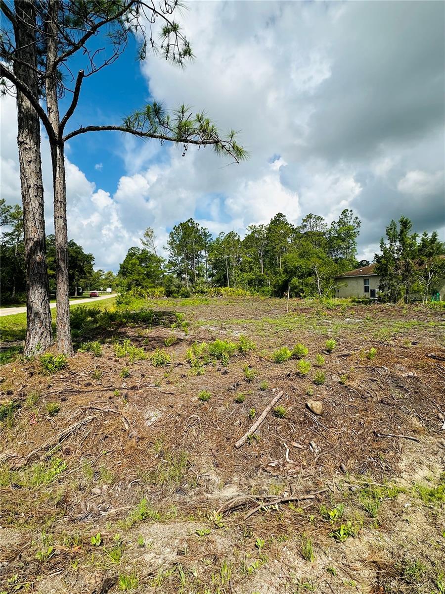 2873 LAUREL RD, DELAND, FL — photo 2