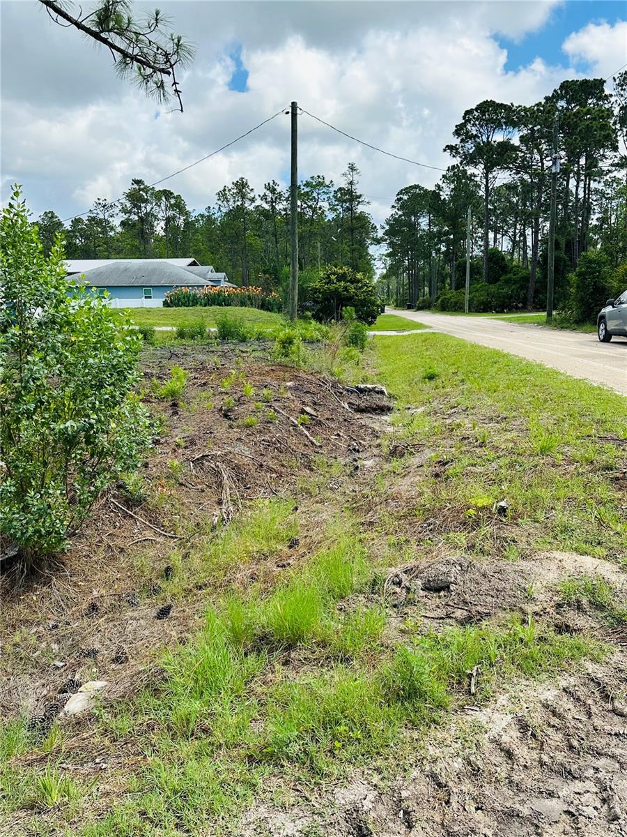 2873 LAUREL RD, DELAND, FL — photo 4