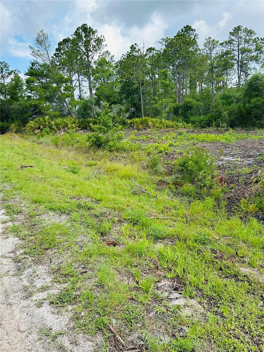 2873 LAUREL RD, DELAND, FL — photo 5