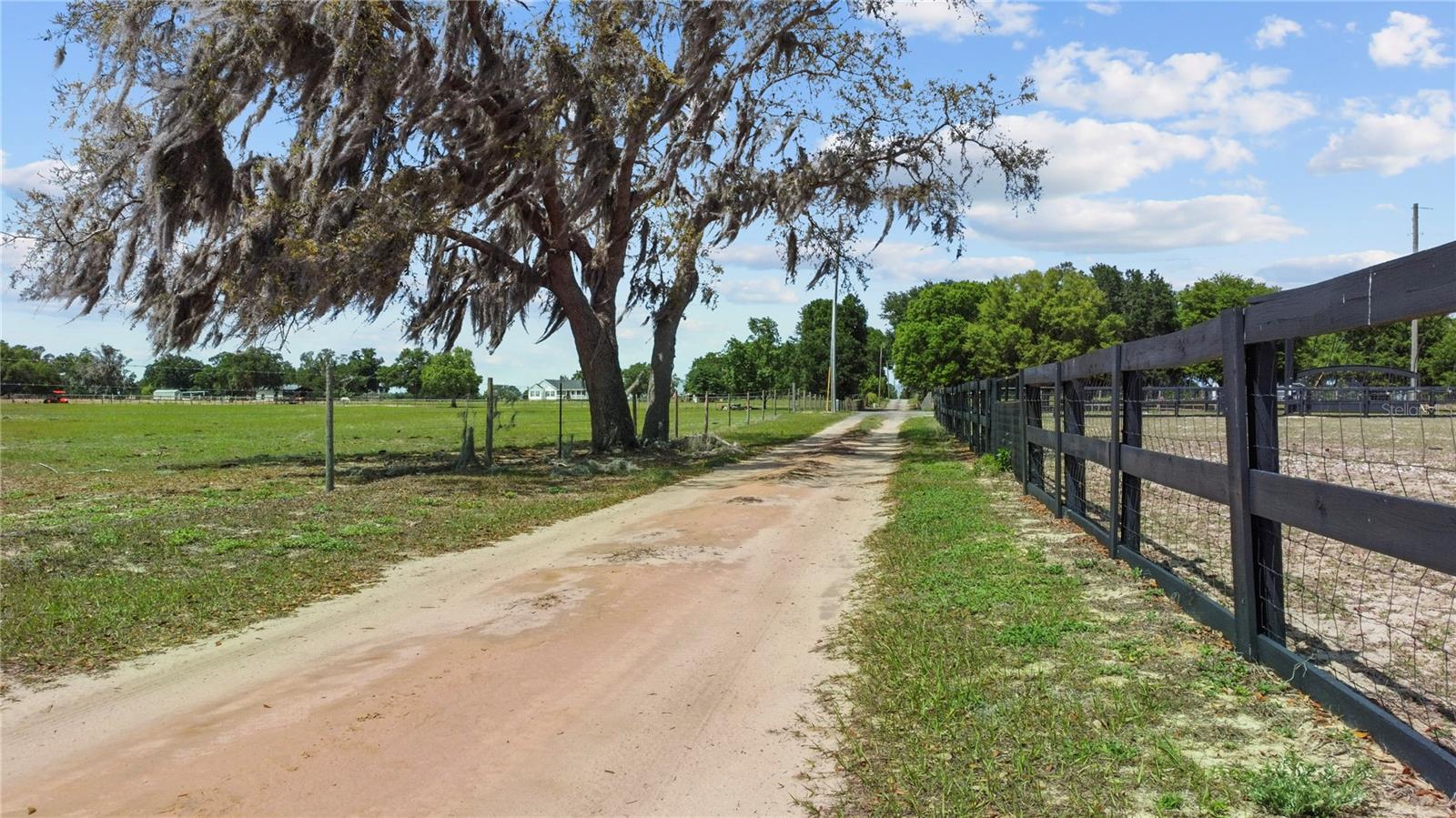 9650 COCKATOO LN, GROVELAND, FL — photo 106