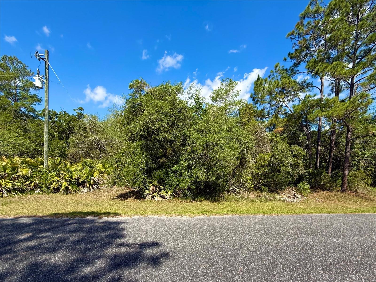 LOT 1 JERICHO TRL, EUSTIS, FL — photo 5