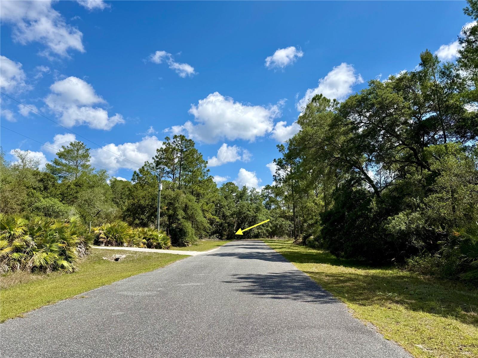 LOT 1 JERICHO TRL, EUSTIS, FL — photo 7
