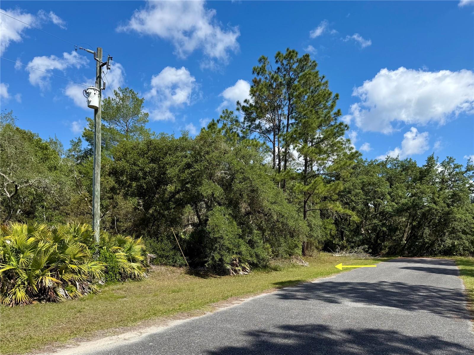 LOT 1 JERICHO TRL, EUSTIS, FL — photo 9